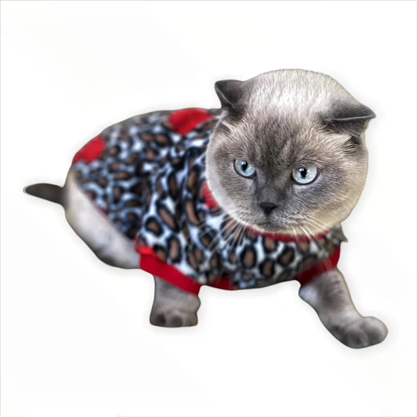 Leopar Hearts Kedi Süeteri Kedi Kıyafeti - 3