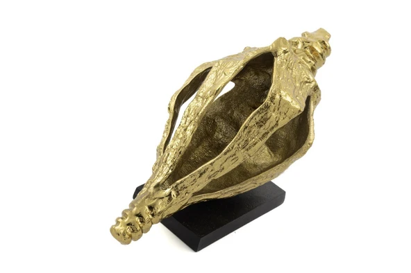 Mikasa Moor Cowry Gold Metal Dekor Obje 31x16x20cm - 2