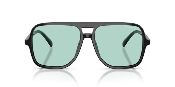 Emporio Armani EA4252U 501765 57 Erkek Güneş Gözlüğü - 3