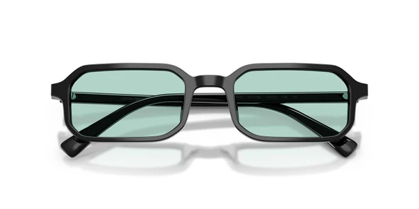 Emporio Armani EA4253U 501765 54 Erkek Güneş Gözlüğü - 4