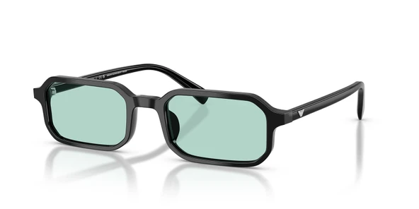 Emporio Armani EA4253U 501765 54 Erkek Güneş Gözlüğü