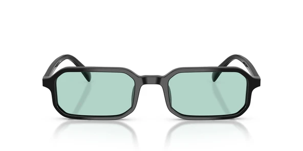 Emporio Armani EA4253U 501765 54 Erkek Güneş Gözlüğü - 3