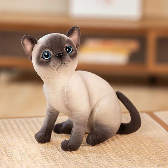 25cm Peluş Giydirilmiş Kedi Oyuncak - British Shorthair