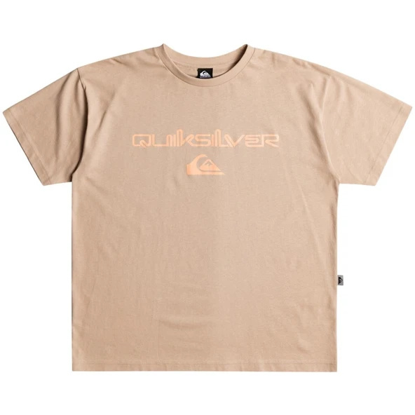 Quiksilver Vintage Omni And Logo Tee Erkek T-Shirt
