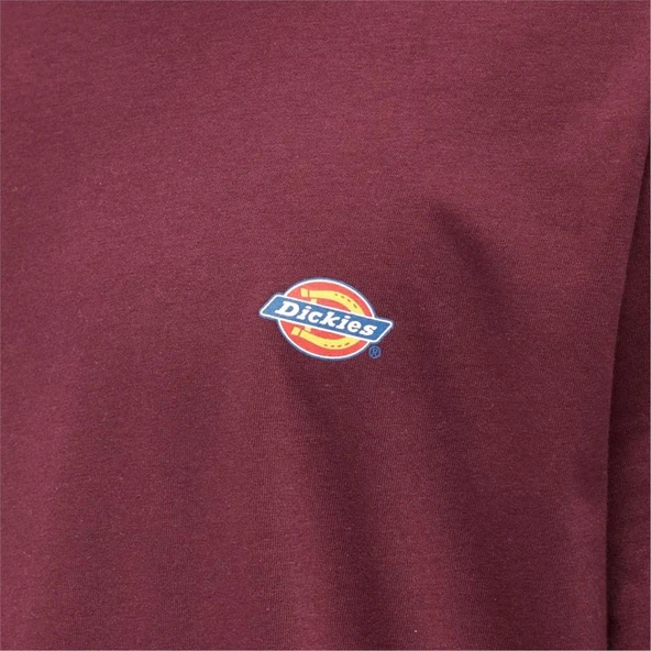 Dickies Ss Mapleton Tee Erkek T-Shirt - 4