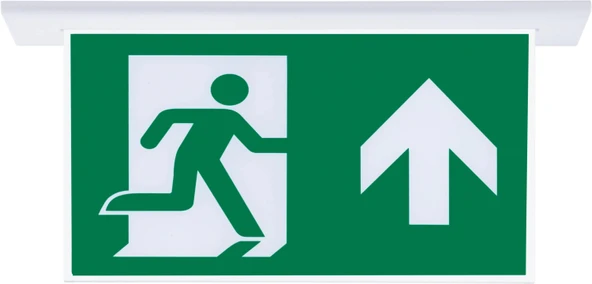 SG053-SA Çift Yönlü Acil Yönlendirme Armatürü (Sıvaaltı Aparatlı) Yukarı