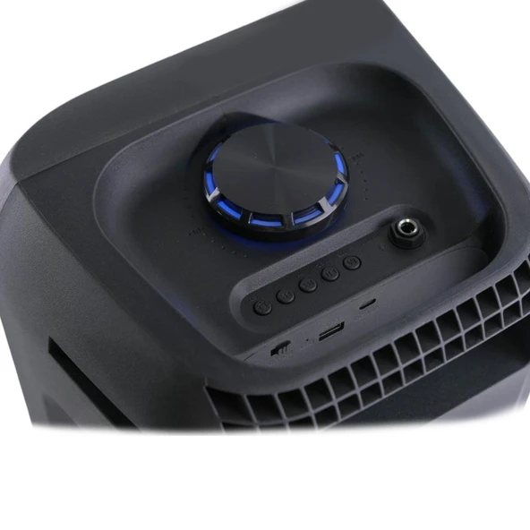 Auris KLN200 25W 8 inç Mikrofonlu RGB Bluetooth Hoparlör - Resim 4