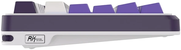 Royal Kludge S98 Beyaz-Mavi RGB Kablosuz US Gaming Klavye - 7