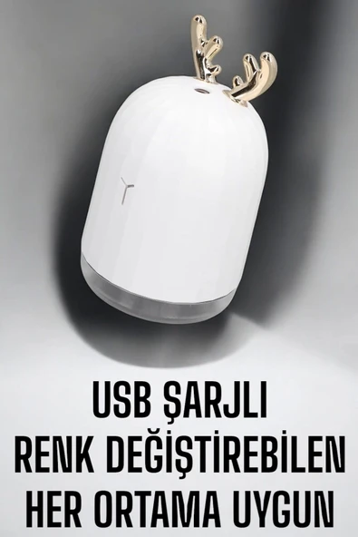 ASTRALTECH Aromaterapi Hava Temizleyici Buhar Makinesi Taşınabilir Şarjlı - 2