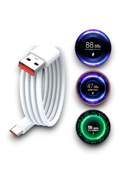 SAYARMARKT 120W Hızlı Şarj Adaptörü ve Kablosu, Turbo Performans