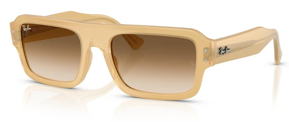 Ray-Ban RB4454 680651 53 Unisex Güneş Gözlüğü
