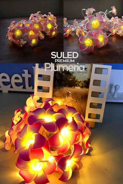 Suled Plumeria Çiçeği Dekoratif Led Işık Ambiyans Ortam Aydınlatması Ve Süsleme Ledleri - 6