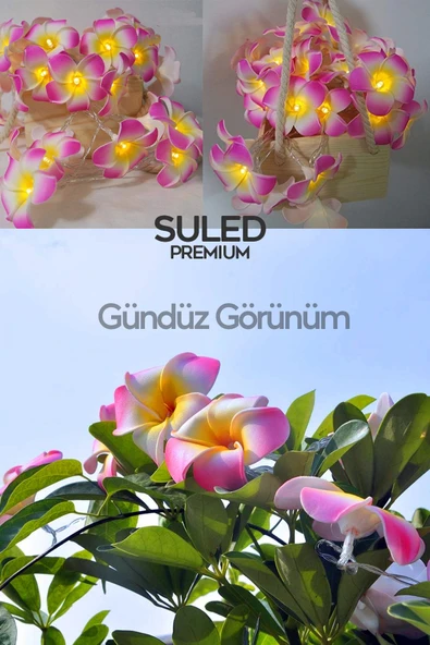 Suled Plumeria Çiçeği Dekoratif Led Işık Ambiyans Ortam Aydınlatması Ve Süsleme Ledleri - 3