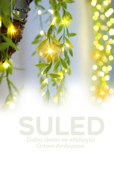 Suled Dekoratif Yapraklı Led Işık 3X1 Metre 180 Led 220V Fişli 3 Modlu Ambiyans Aydınlatma Süs & Dekor Led - 4