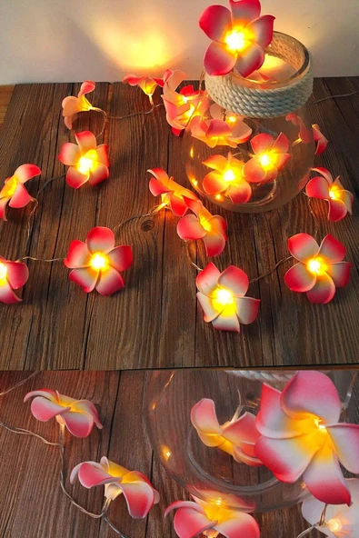 Suled Plumeria Çiçeği Dekoratif Led Işık Ambiyans Ortam Aydınlatması Ve Süsleme Ledleri - 2