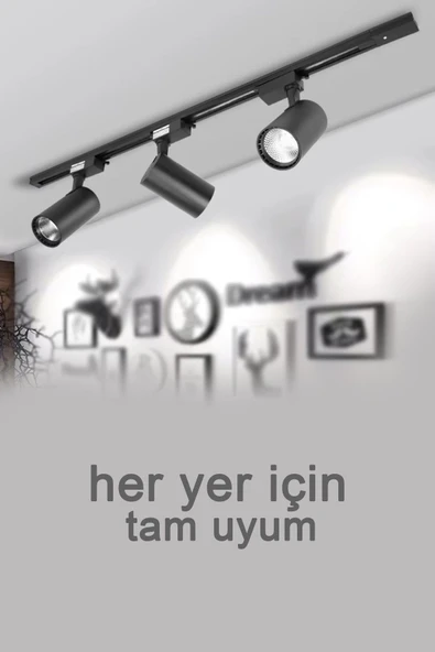 Suled Ray Spot Işık Siyah Kasa - Gün Işığı 360/90 Dönebilen 30W Ray Spotu Led Işık Pro 220V - 5