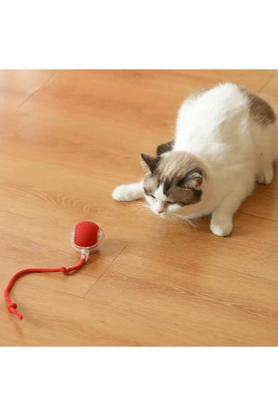 Şarjlı Otomatik Hareketli Kedi Köpek İçin 360 Derece Dönen İnteraktif Akıllı Oyun Topu - 2