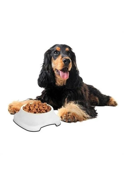 Silikon Kaydırmaz Taban Plastik Kedi ve Köpek Mama ve Su Kabı 2 L