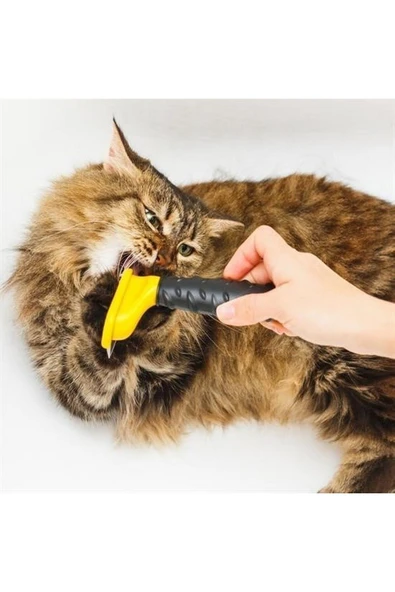 Uzun Tüylü Köpekler İçin Kolay Tarama Fırçası Temizlenebilir Çelik Tarak Tüy Toplayıcı Mediu - 3