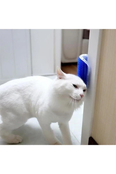 Pratik Kedi Tüyü Kaşıma Ve Tarama Aparatı Duvara Monte Kaşıma Aleti