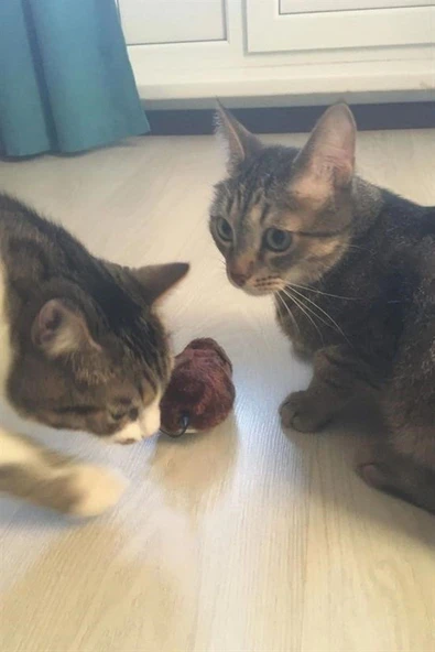 Kurmalı Kedi Eğitim Oyuncağı Tüylü Peluş Fare Oyunu İnteraktif Sevimli Eğlenceli Oyuncak