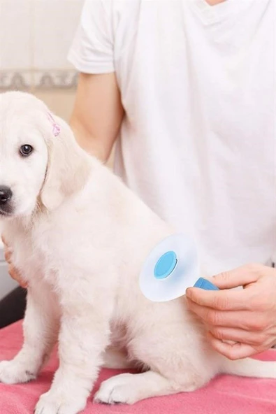 Kedi Köpek Tüy Toplayıcı Kendini Temizleyebilen Ergonomik Saplı Evcil Hayvan Tarağı Mavi - 3