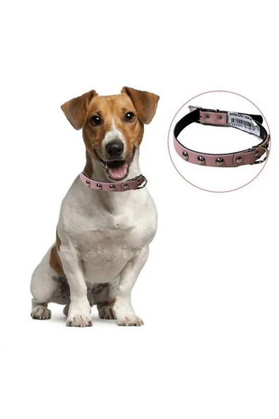 Yumuşak Dokulu Deri Köpek Gezdirme Boyun Tasması Medium - 3