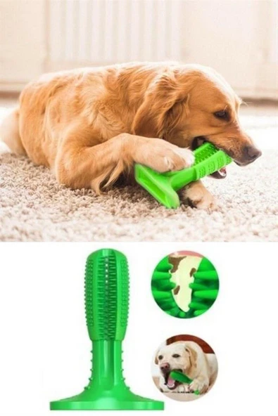 Köpek Diş Temizleyici ve Kaşıyıcı Sağlıklı Küçük Boy Oyuncak