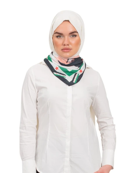 Suriye Bayrak Çerçeveli Suriyenin şarkıcı sarut Resmi Baskılı 45*45 cm S100027