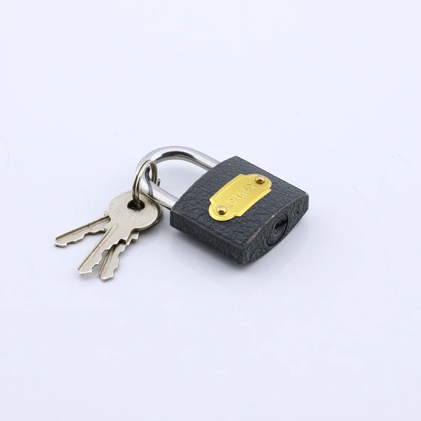 Asma Kilit 38 mm 3 Anahtarlı Halka İşyeri Kapı Sandık Kutu Kilidi Gri Renk Tosba Kilit - 3