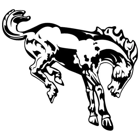 Ford Motor Co. Bronko At Logosu (Plastik Aparattır!!!)