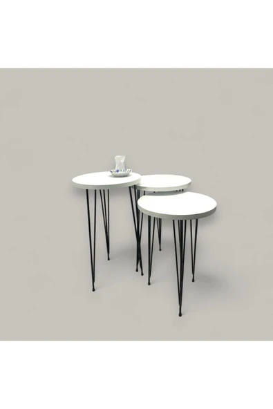 ADIM EBATLAMA Zigon Sehpa 3'lü Yuvarlak Model Metal Tel Ayak (BEYAZ) 30 ÇAP - 4