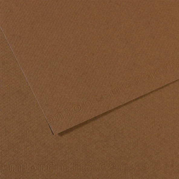Canson Fon Kartonu (Dokulu) Mı-Teıntes 25 Lİ 50x65 160 GR 133 Sepia 200321404-25-LI-PKT