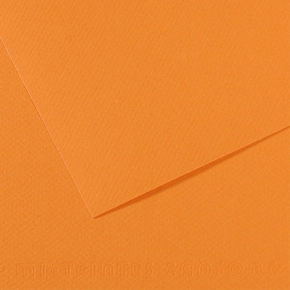 Canson Fon Kartonu (Dokulu) Mı-Teıntes 25 Lİ 50x65 160 GR 384 Saumon 200321104-25-LI-PKT