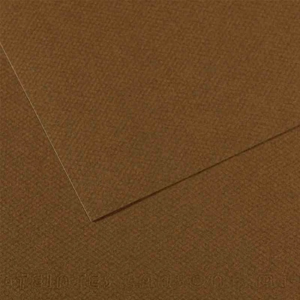 Canson Fon Kartonu (Dokulu) Mı-Teıntes 25 Lİ 50x65 160 GR 501 Dark Brown 200331484-25-LI-PKT