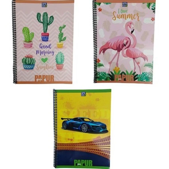 Gıpta Papur Notes Spiralli Karton Kapak Defter A4 60 YP Çizgili 4958-12 Lİ PAKET-12-LI-PKT