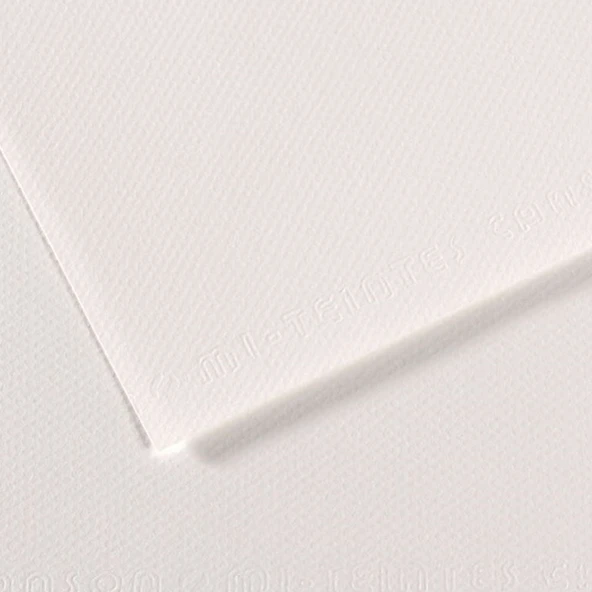 Canson Fon Kartonu (Dokulu) Mı-Teıntes 50x65 160 GR Whıt 335-10-LI-PKT