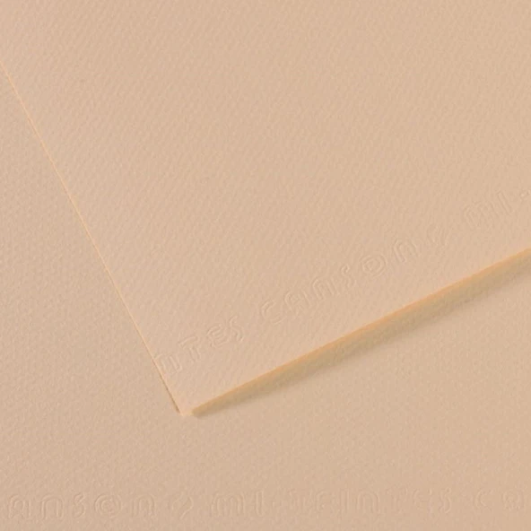 Canson Fon Kartonu (Dokulu) Mı-Teıntes 10 Lu  50x65 160 GR 112 Ylw 31032S093-10-LI-PKT