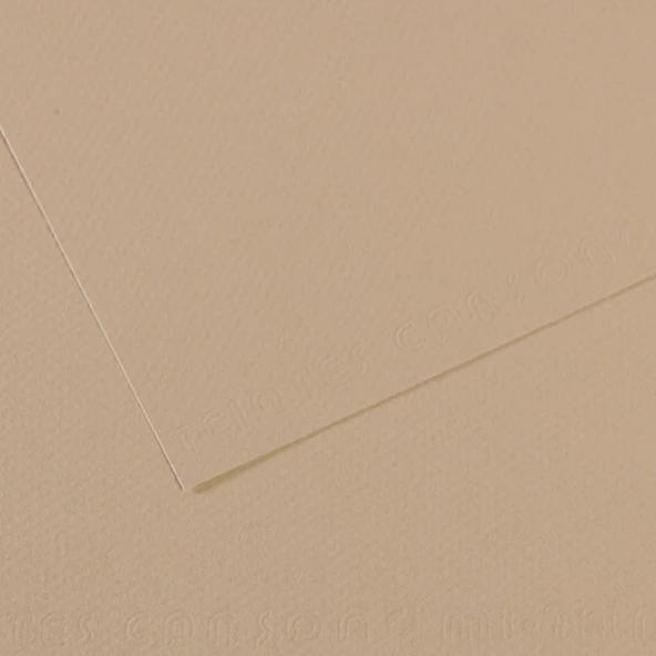 Canson Fon Kartonu (Dokulu) Mı-Teıntes 50x65 160 GR GREY 343-10-LI-PKT
