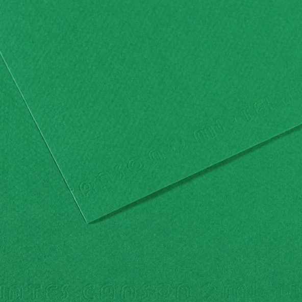 Canson Fon Kartonu (Dokulu) Mı-Teıntes 50x65 160 GR Ylw 400-10-LI-PKT