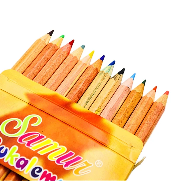 Samur Bukalemun Tam Boy Jumbo Kuru Boya 12 Renk - 2