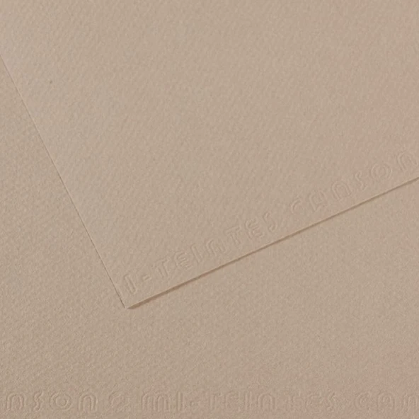 Canson Fon Kartonu (Dokulu) Mı-Teıntes Sh Canmt 50x65 160 Gr Grey 122-10-LI-PKT