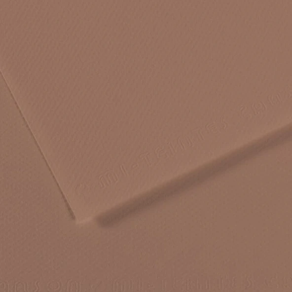 Canson Fon Kartonu (Dokulu) Mı-Teıntes Sh Canmt 50x65 160 GR Brown (10 lu) 188