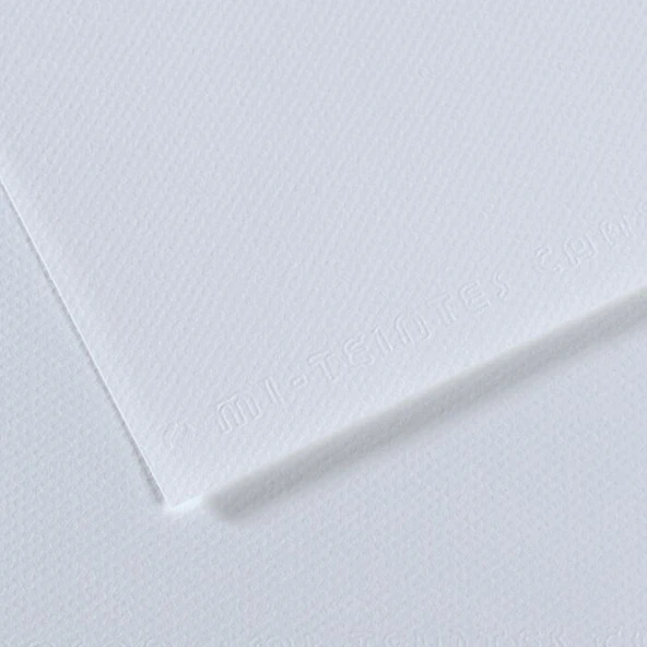 Canson Fon Kartonu (Dokulu) Mı-Teıntes Sh Canmt 50x65 160 GR Blu  (10 lu)181