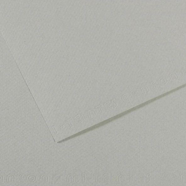 Canson Fon Kartonu (Dokulu) Mı-Teıntes Sh Canmt 50x65 160 GR Grey 354