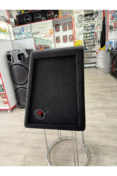 Reiss Audio Rs-SL12 Çift Bobin Mini bas L Port Kabinli 1450Wat 450W Rms 30 Cm mini slim Subwoofer Bas - 2