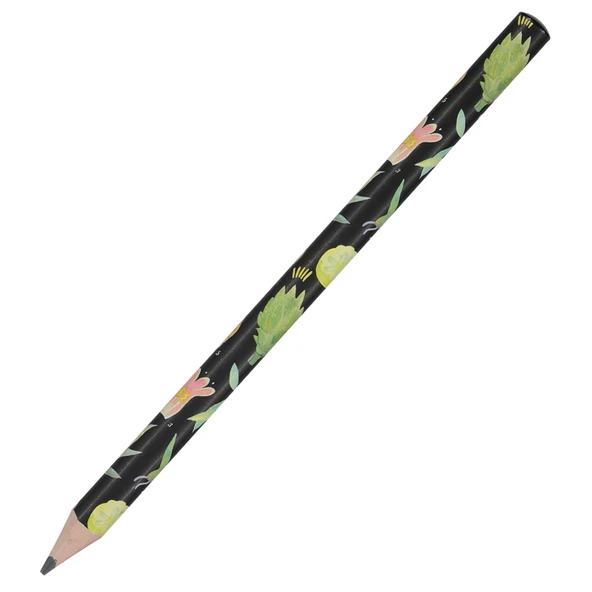 Bruno Visconti Kurşun Kalem Happy Graphix Jumbo 4B 3,5 MM Botanik-30-PKT