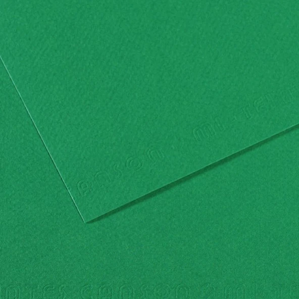 Canson Fon Kartonu (Dokulu) Mı-Teıntes Sh Canmt 50x65 160 GR Grn 575 31032S114-10-PKT