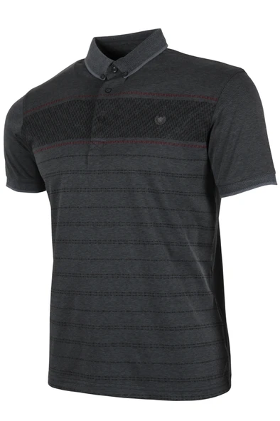 Erkek Tişört Polo Yaka Normal Kesim Desenli RAR01322 - 2