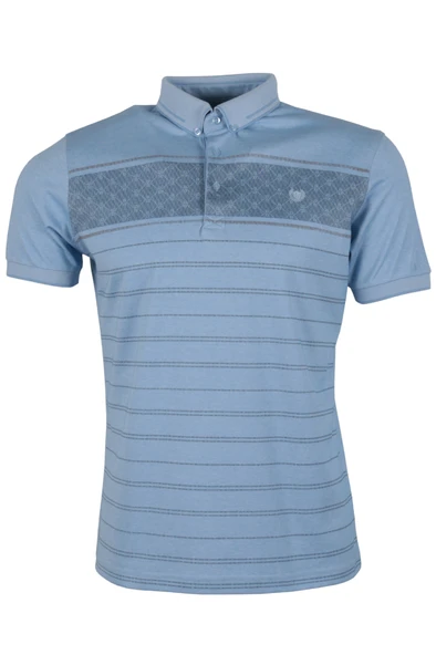 Erkek Tişört Polo Yaka Normal Kesim Desenli RAR01323